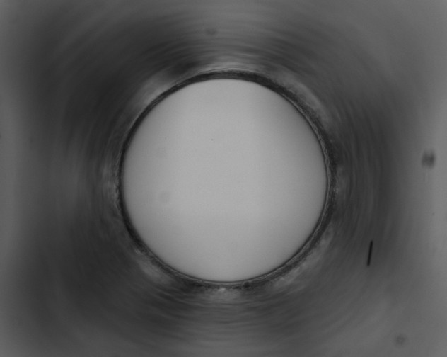 X0000102851321200809081234