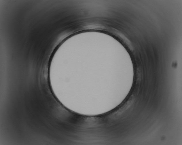 X0000102851322200809081234