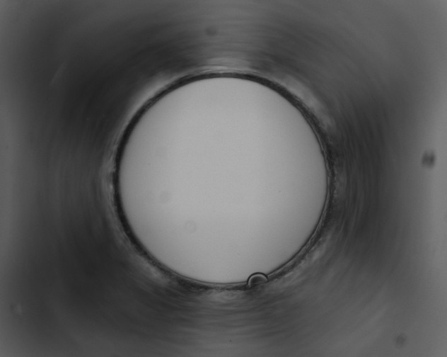 X0000102851325200809081234