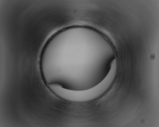 X0000102851326200809081234