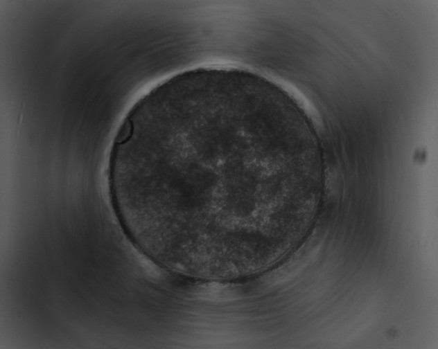 X0000102851327200809081234