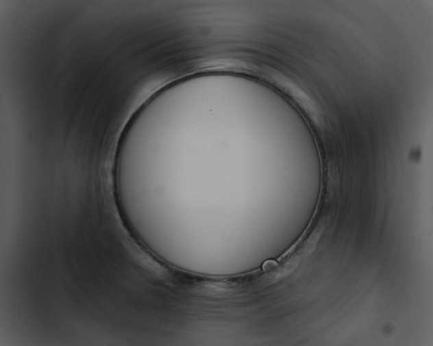 X0000102851330200809081234