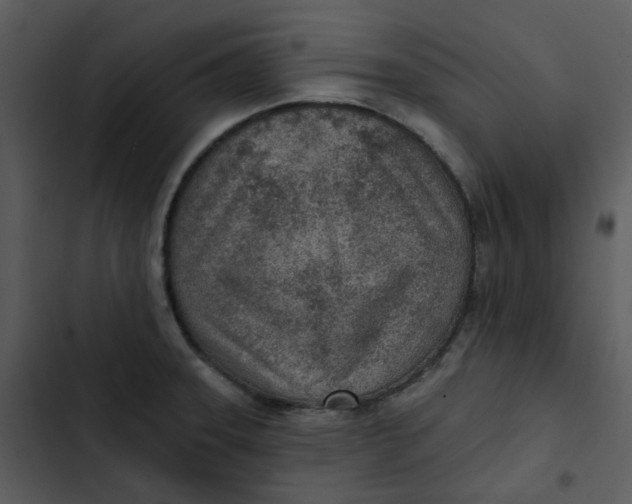 X0000102851331200809081234