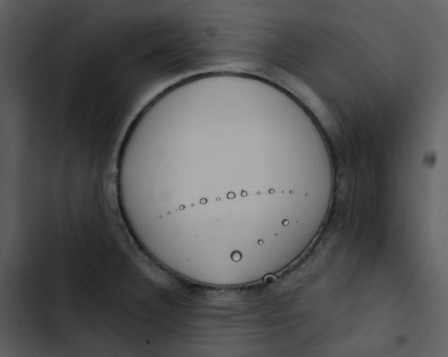 X0000102851332200809081234