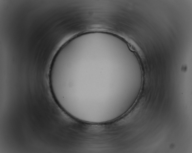 X0000102851333200809081234