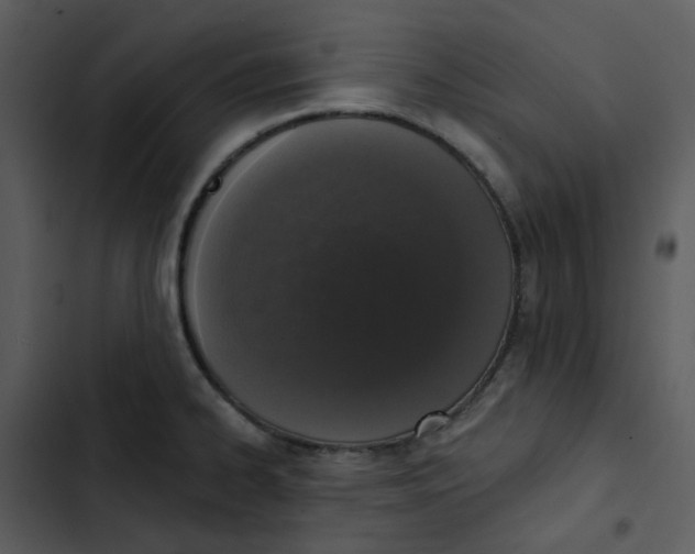 X0000102851334200809081234