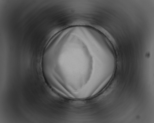 X0000102851337200809081234