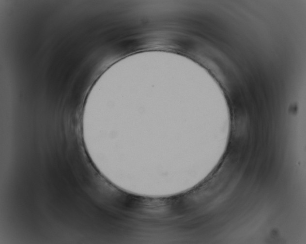 X0000102851338200809081234