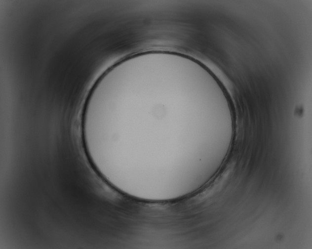 X0000102851341200809081234