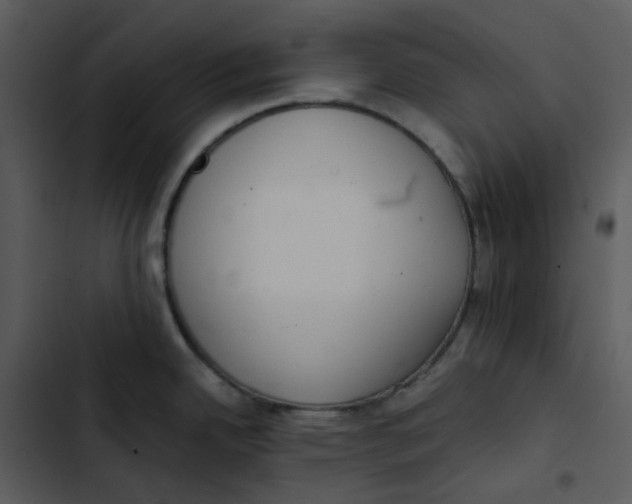 X0000102851342200809081234