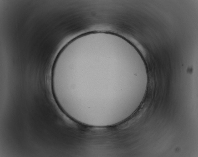 X0000102851343200809081234