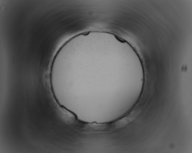 X0000102851344200809081234