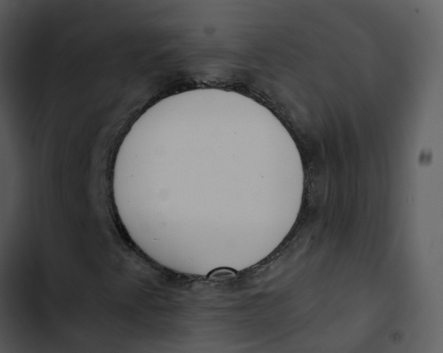 X0000102851345200809081233