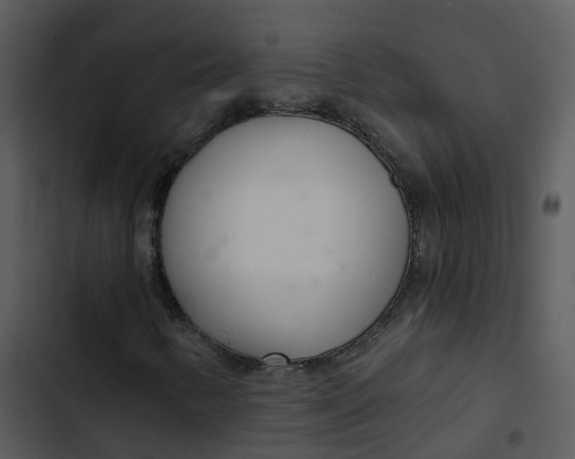 X0000102851346200809081233