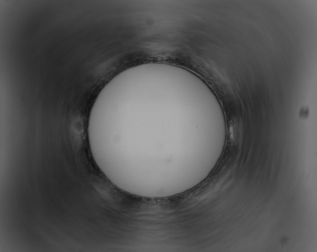 X0000102851347200809081233