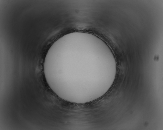 X0000102851349200809081233