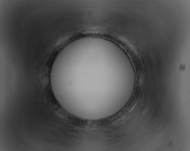 X0000102851350200809081233