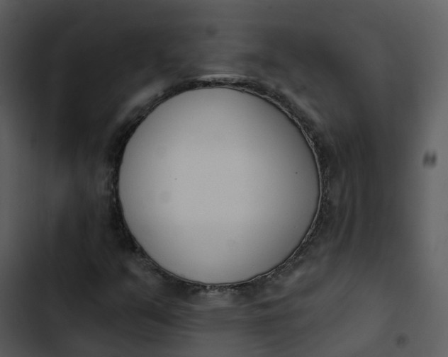 X0000102851351200809081233