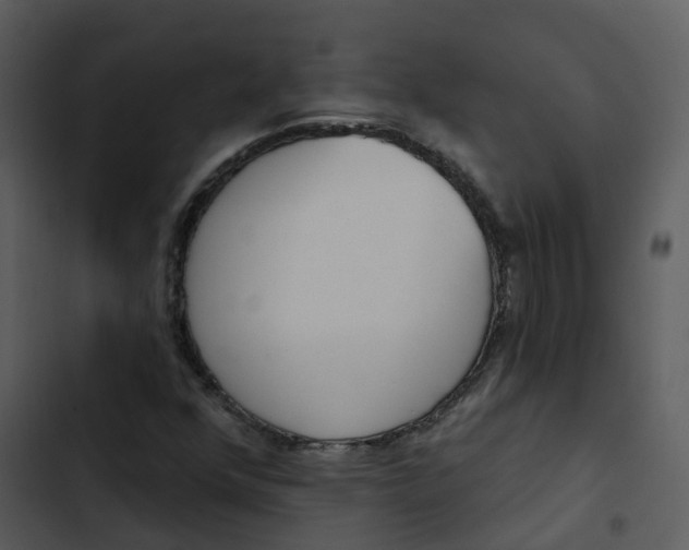 X0000102851352200809081233