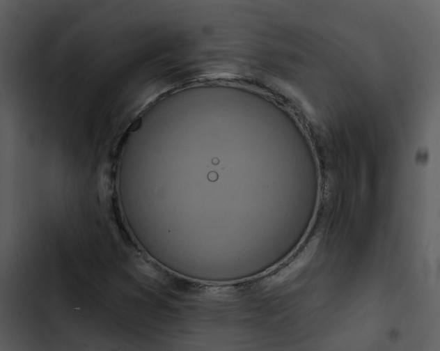 X0000102851353200809081233