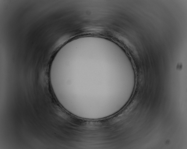 X0000102851354200809081233