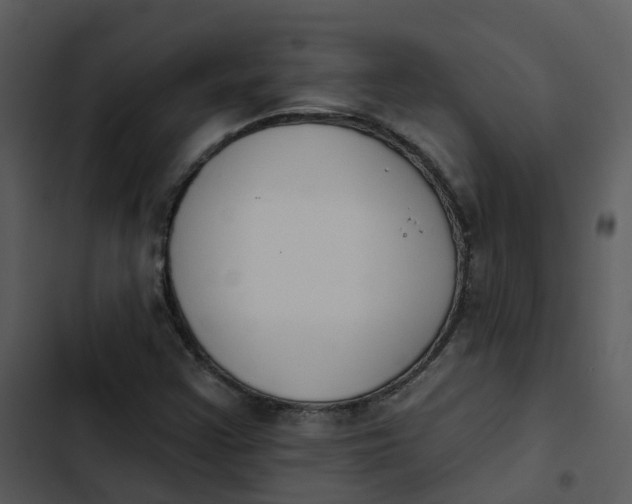 X0000102851355200809081233