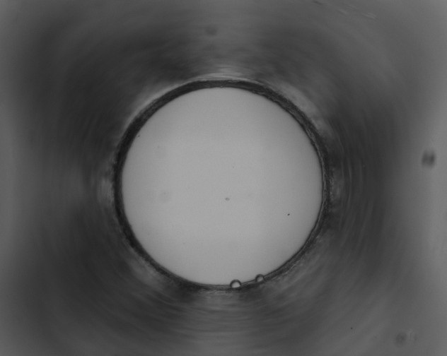 X0000102851356200809081233