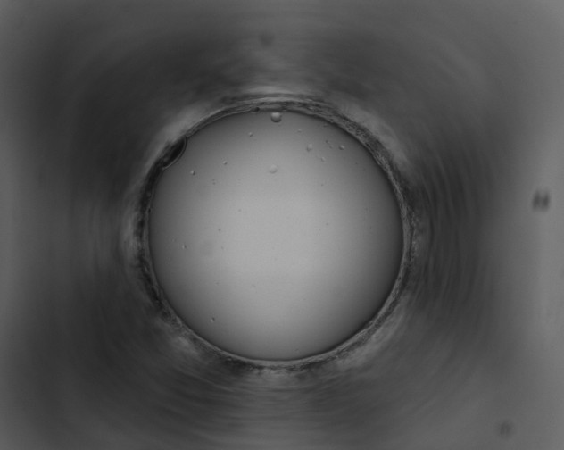 X0000102851357200809081233