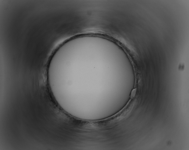 X0000102851358200809081233