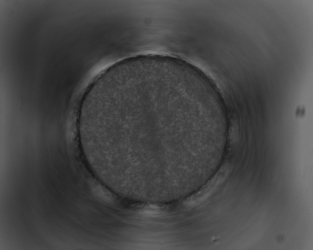 X0000102851359200809081233