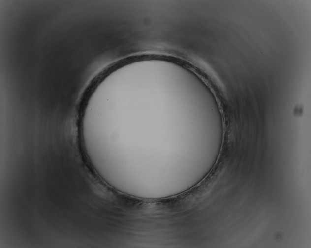 X0000102851360200809081233