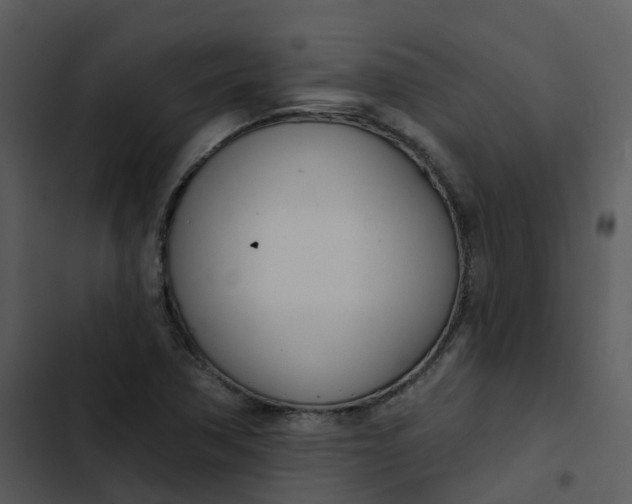 X0000102851362200809081233