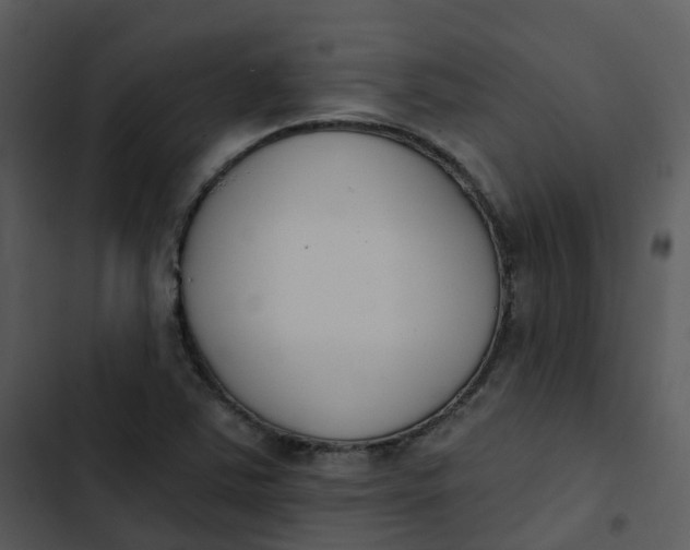 X0000102851363200809081233