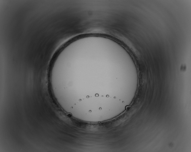 X0000102851364200809081233