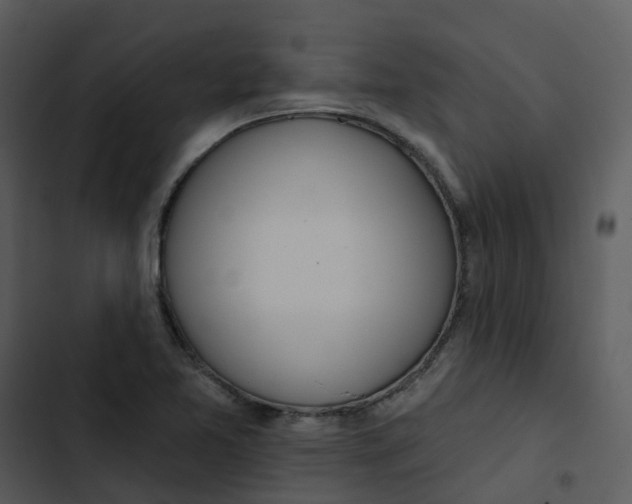 X0000102851365200809081233