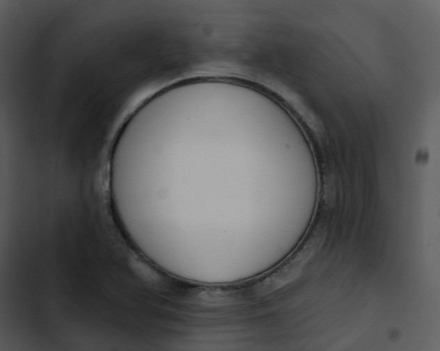 X0000102851366200809081233