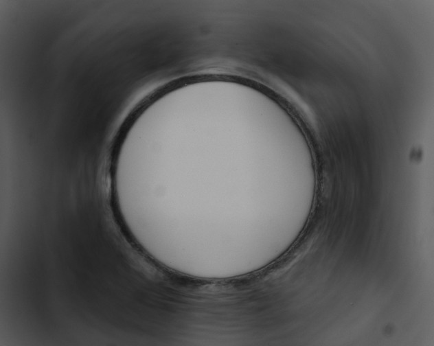 X0000102851368200809081233