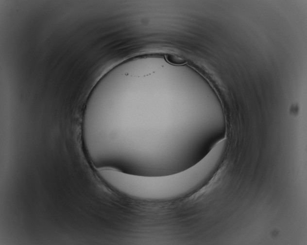 X0000102851369200809081233