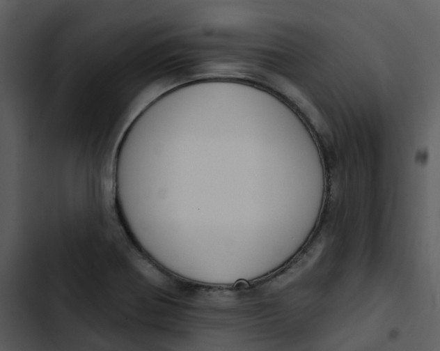 X0000102851370200809081233