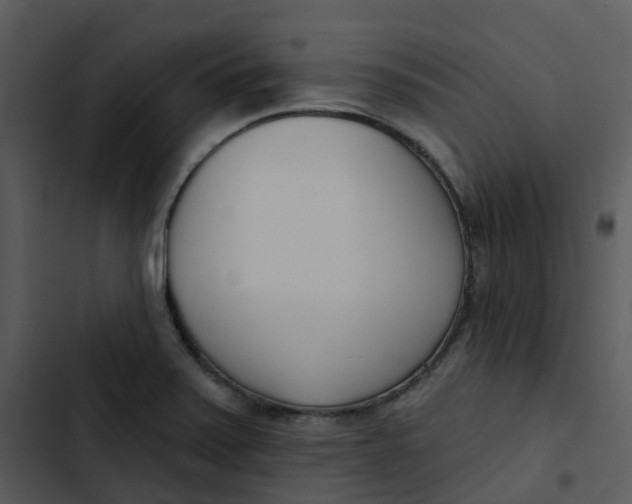 X0000102851371200809081233