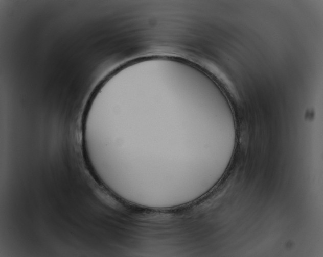 X0000102851372200809081233