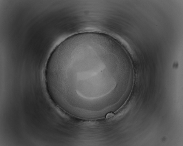 X0000102851373200809081233