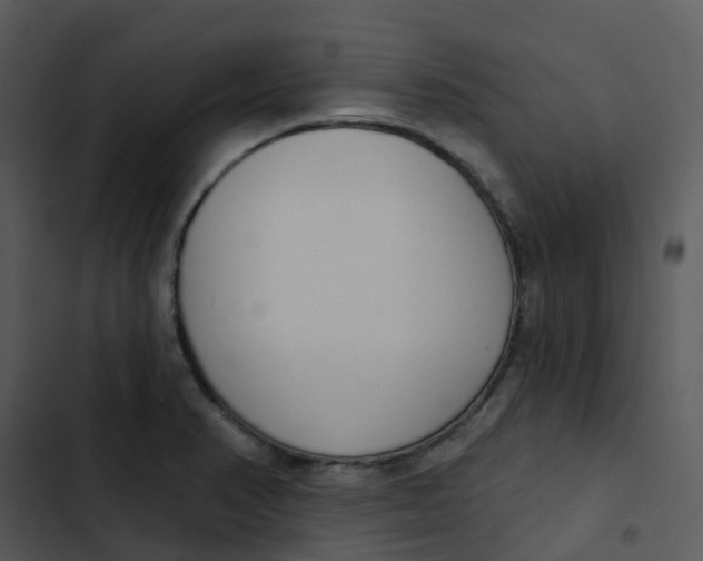 X0000102851374200809081233