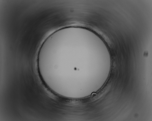 X0000102851375200809081233