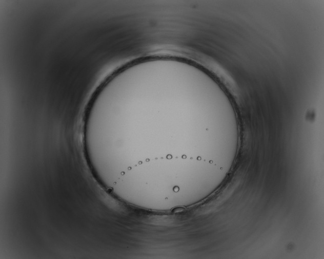 X0000102851376200809081233