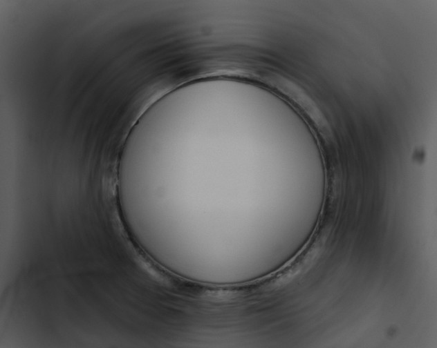 X0000102851377200809081233