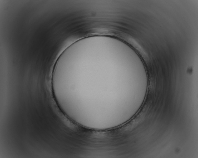 X0000102851378200809081233