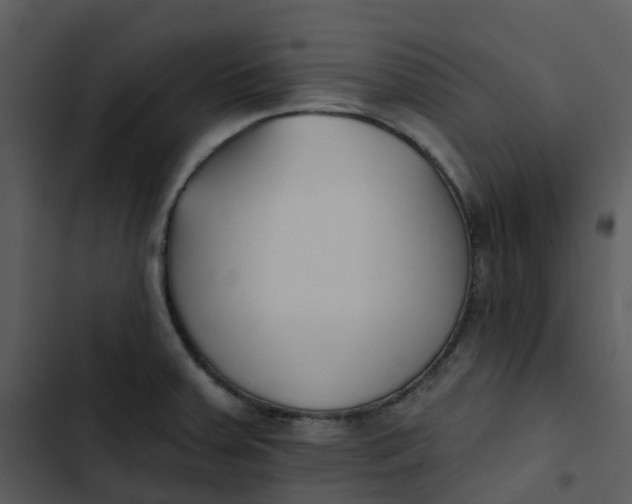 X0000102851379200809081233