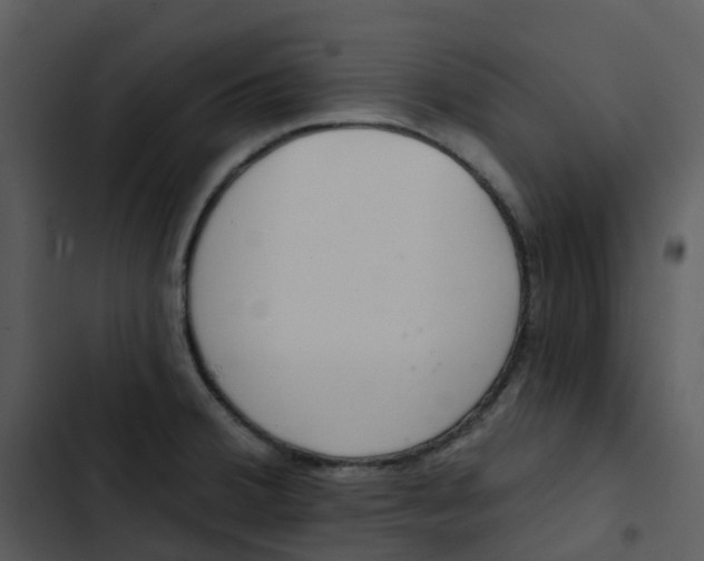 X0000102851380200809081233