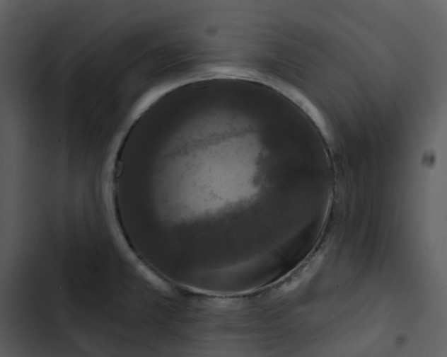 X0000102851381200809081233